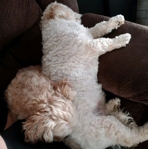 Meet your Posher, Maddy